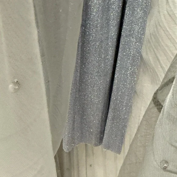 Elegant Gray Tulle Skirt - Picture 3 of 5